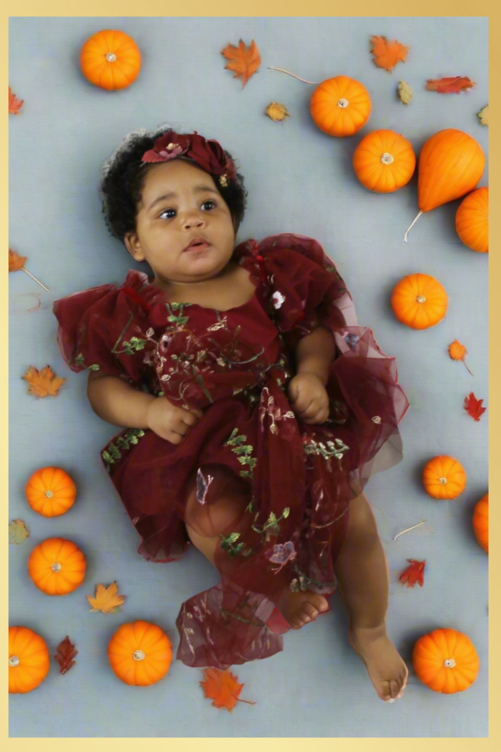 baby fall dress in burgundy floral
